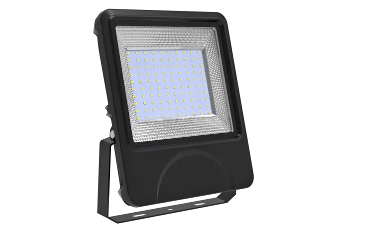 Flood Light – 100 watt